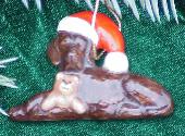 German Short Haired Pointer