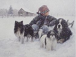 Boys Best Friend