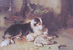 The Shepherd's Pet