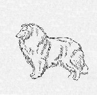 Rough Pedigree