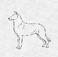 Smooth Pedigree