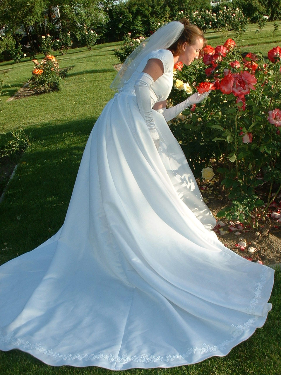 A beautiful bride among beautiful flowers