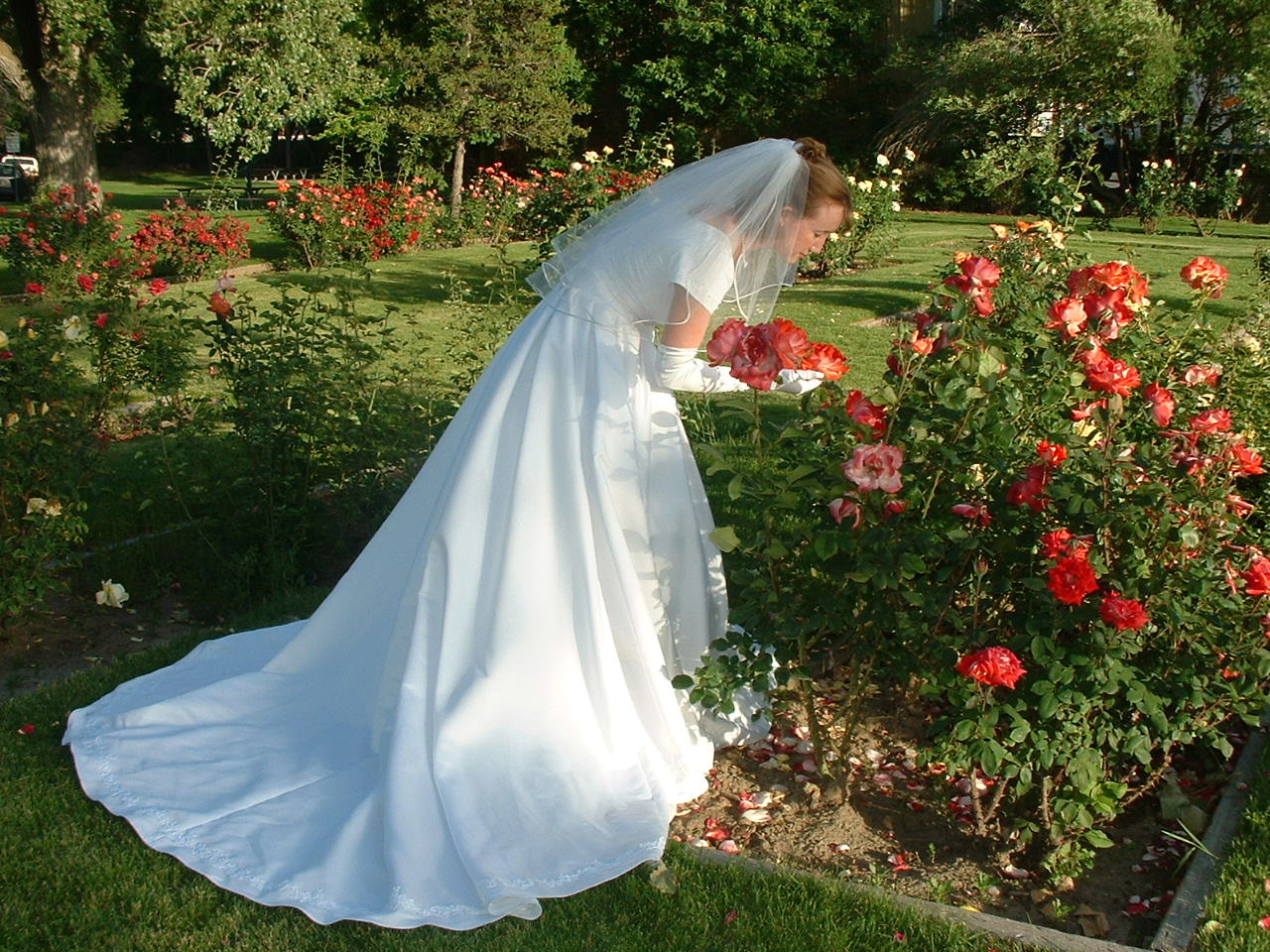 A beautiful bride among beautiful flowers