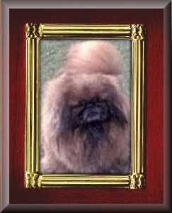 Fluffyframe1.JPG