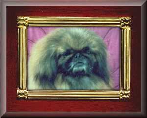 Fluffyframe2.JPG