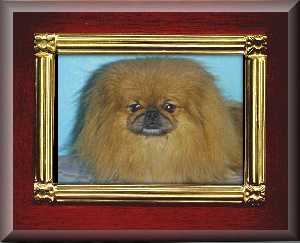 MeSheframe1.JPG