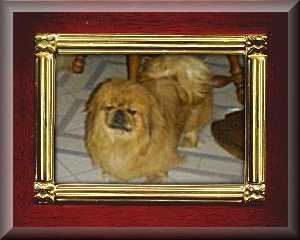 Meshuframe1.JPG