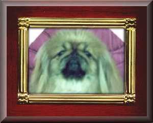 MiTiframe2.JPG