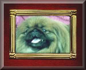 gizzyframe2.JPG