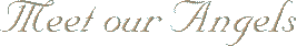 indexmeet.gif