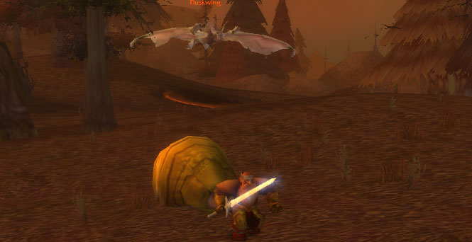 That's the biggest bat I've ever seen!