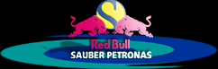 logo-sauber.gif (6300 bytes)