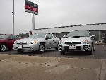 Cougar and WRX