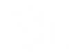 Dancing Dragon