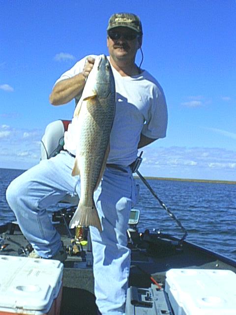 briansred.JPG - 44783 Bytes