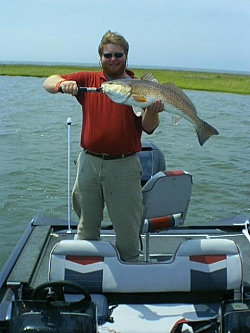 ericksred2.JPG - 44454 Bytes