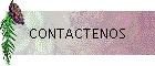 CONTACTENOS