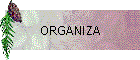 ORGANIZA