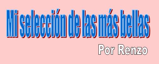 Articulo