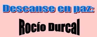 Articulo