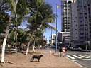 fortaleza_058.jpg