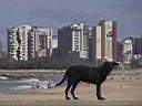 fortaleza_059.jpg