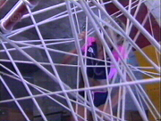 Bungee Web