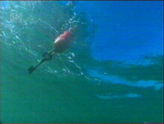 The key lies in the bright blue water