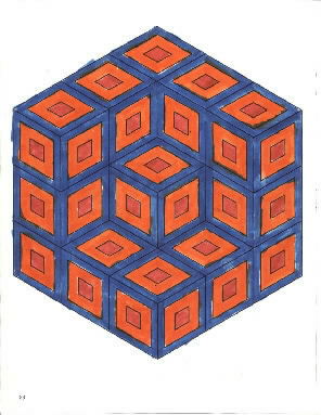 Optical Illusion by Nutter