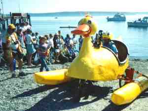 'Professional' inflatable floats