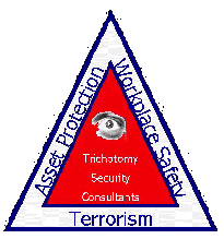 Trichotomy Security Consultants Logo