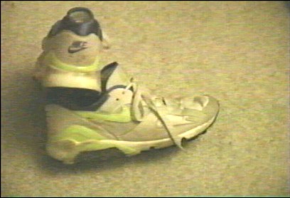 tas_shoes11.jpg (28964 bytes)
