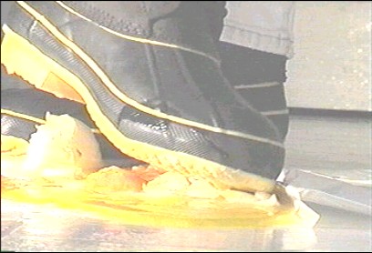 th_duckboots25.jpg (31819 bytes)