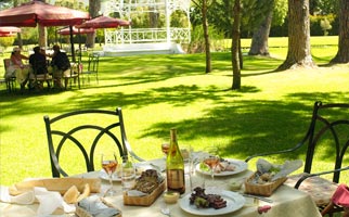 Tea in the garden