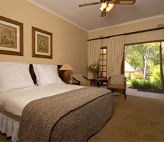 Standard Suite
