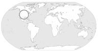 north america
