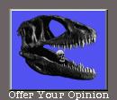 Take the Poll