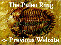 The Paleo Ring's Previous Website