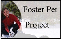 Foster Pet Project