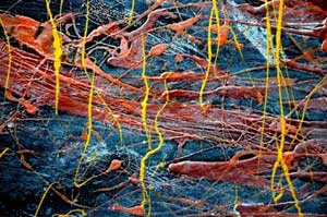 Detail of recent painting