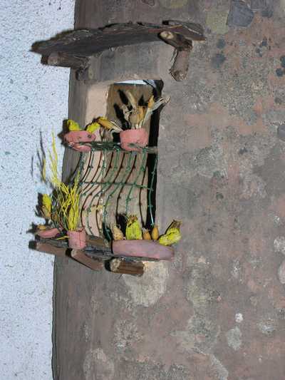 Coppo_024c.jpg