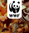 WWF