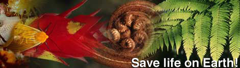 World Wildlife Fund