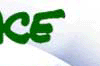 banner_top_04.gif (4580 bytes)