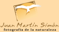 www.terra.es-personal2-jmartinsimon.gif (5512 bytes)