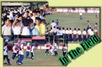 football and netball