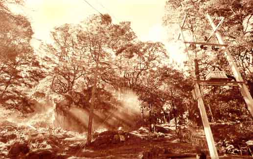 Paisaje