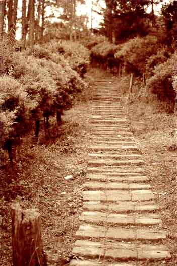 Paisaje
