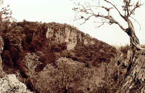 Paisaje