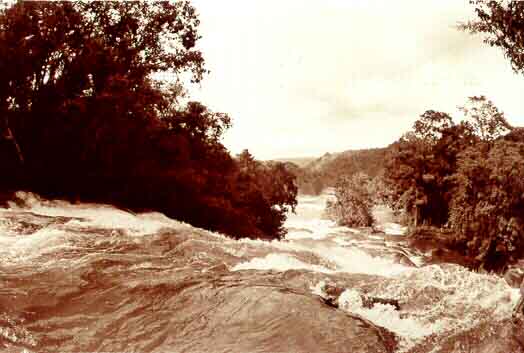 Paisaje
